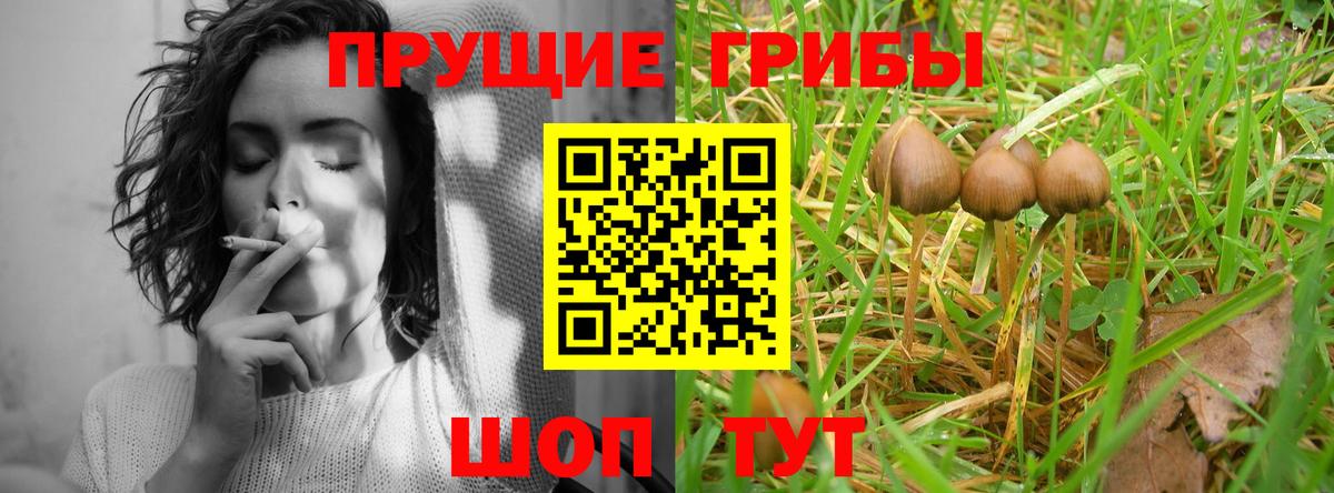 Галлюциногенные грибы прущие грибы Арсеньев