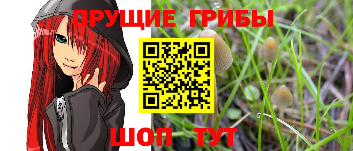 Псилоцибиновые грибы прущие грибы  Псилоцибиновые грибы Cubensis  Вход с VPN  Арсеньев 